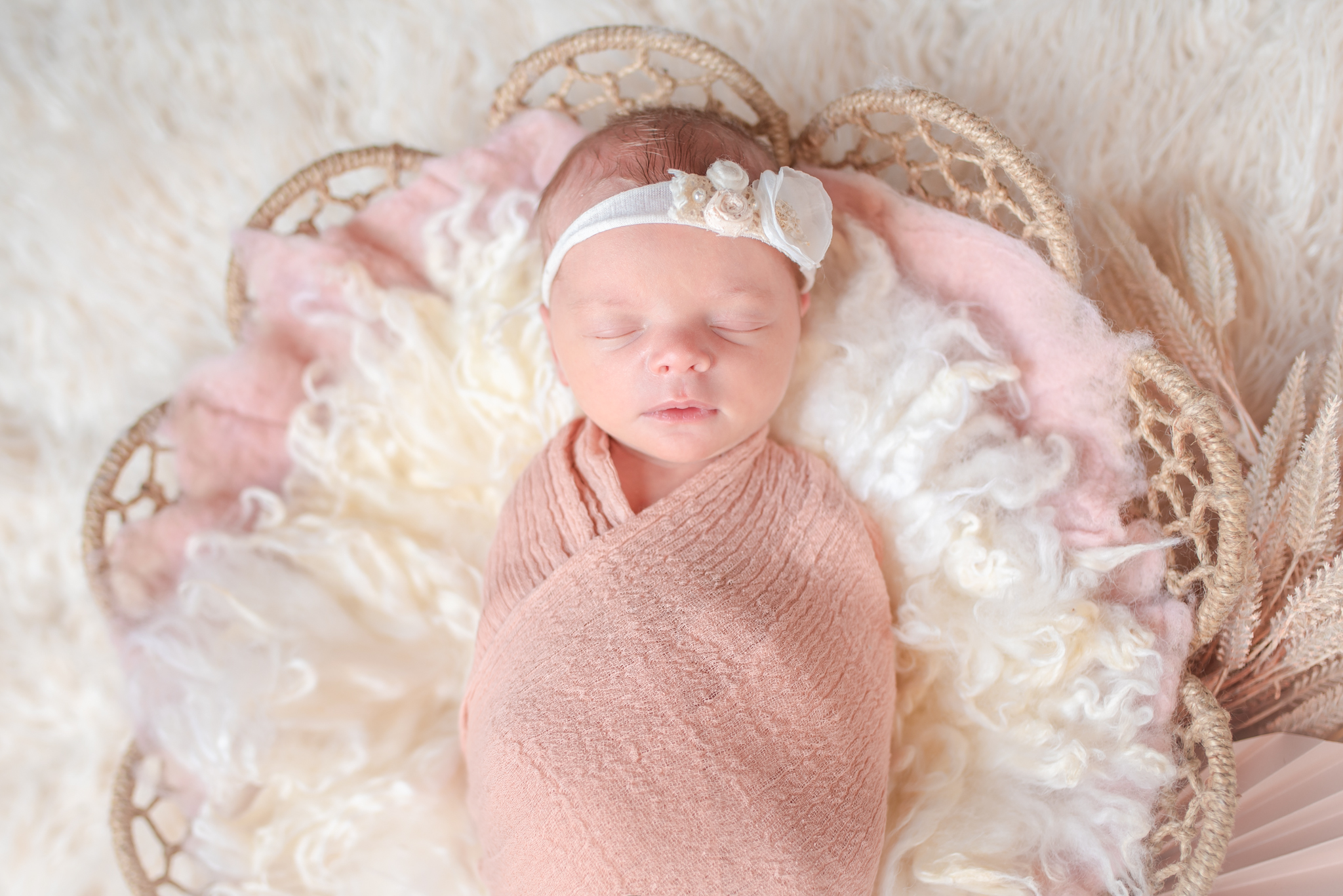 DSC_0626-Edit