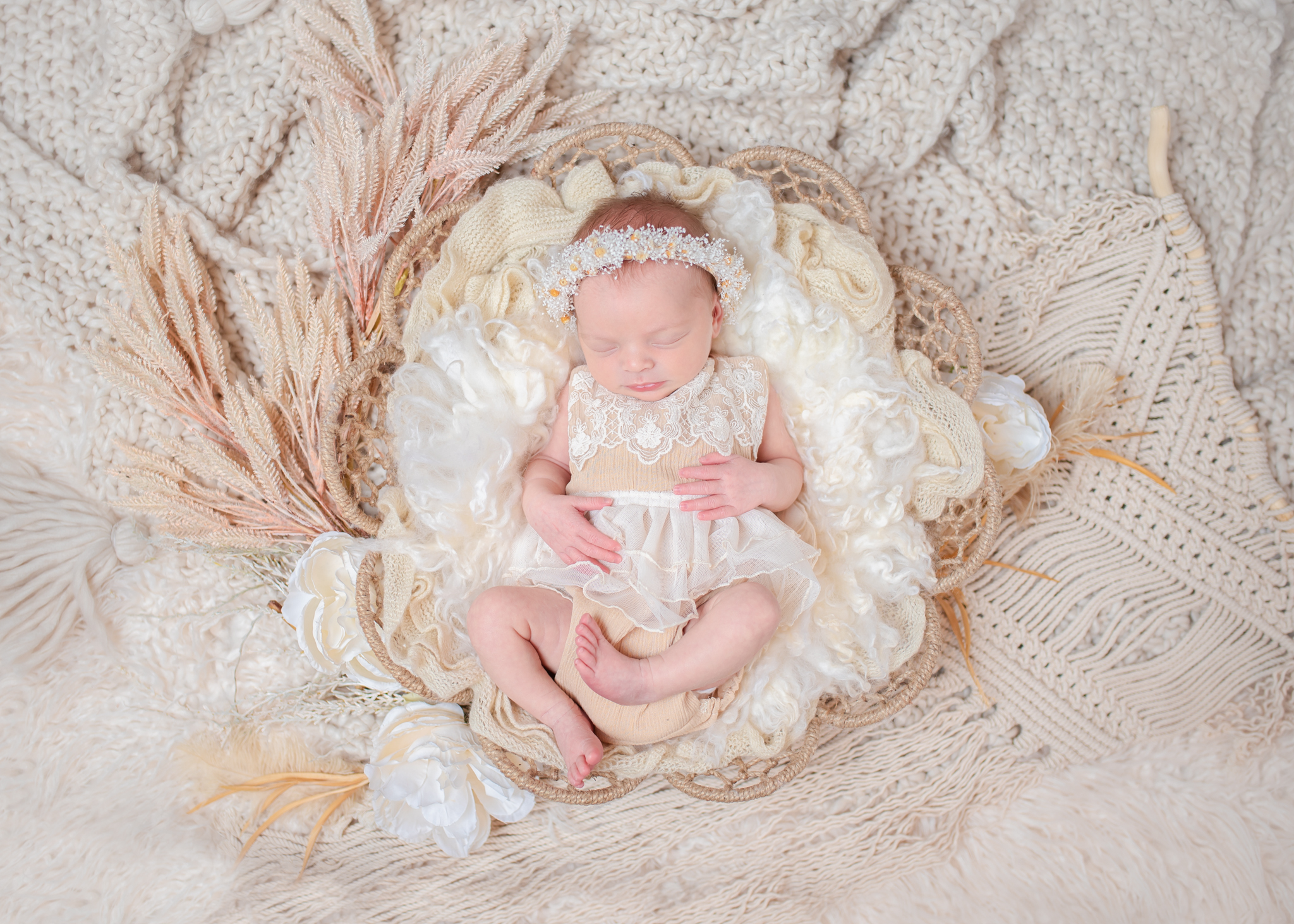 DSC_0682-Edit