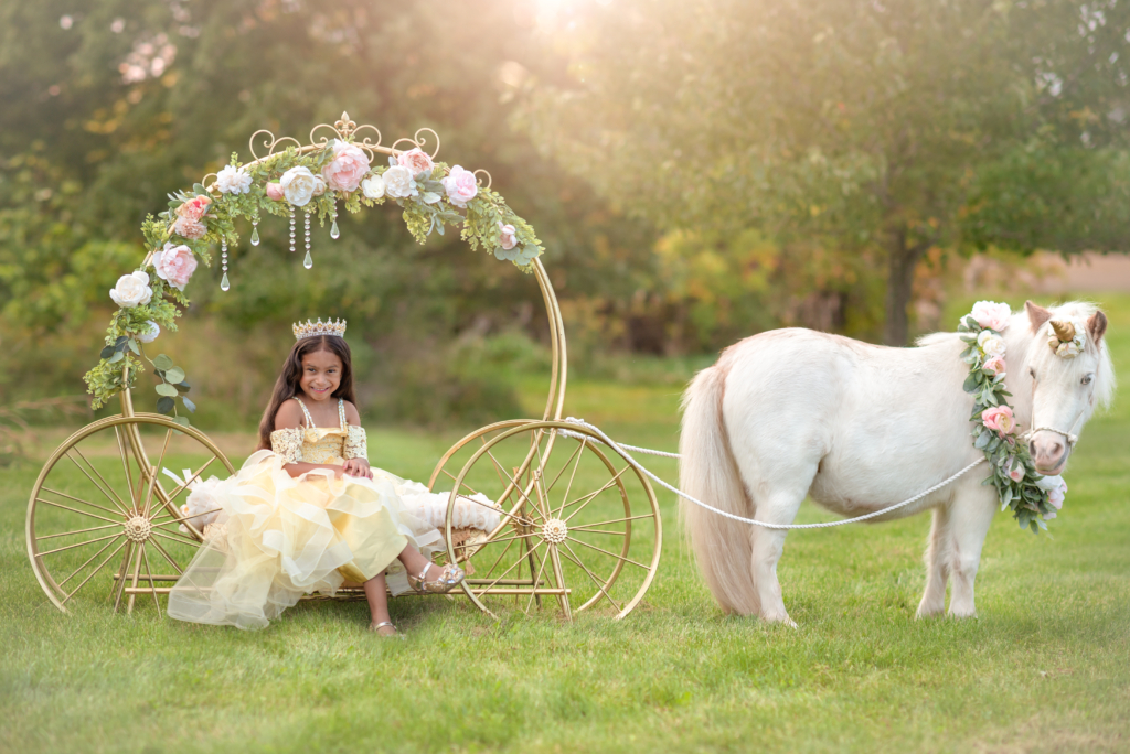 Unicorn Photography Session in Michigan