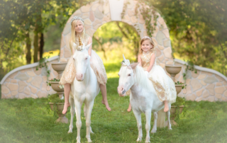 Unicorn session in Owosso Michigan